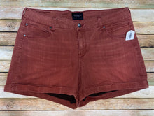 Load image into Gallery viewer, Celebrity Pink Shorts- (Size 20)
