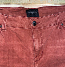 Load image into Gallery viewer, Celebrity Pink Shorts- (Size 20)
